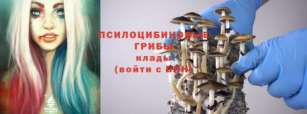 тгк Елабуга