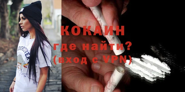 стаф Дмитриев