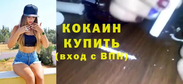 стаф Дмитриев