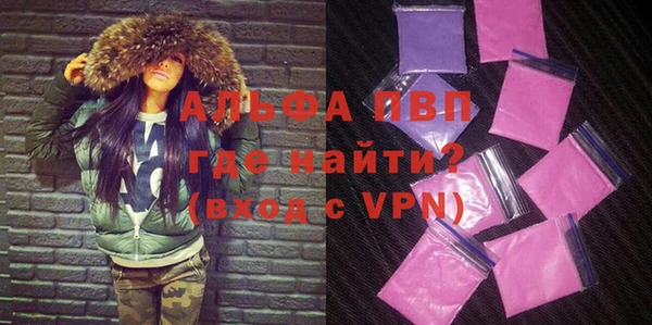 стаф Дмитриев