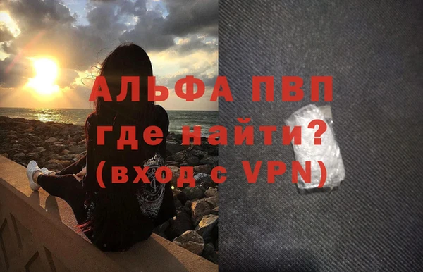 стаф Дмитриев