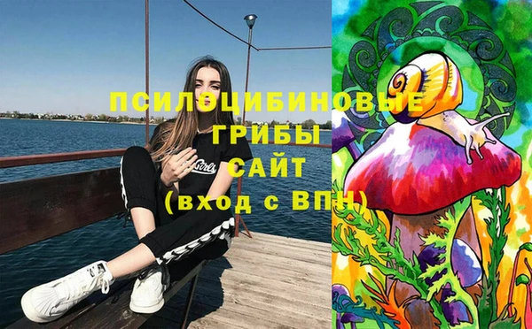 тгк Елабуга