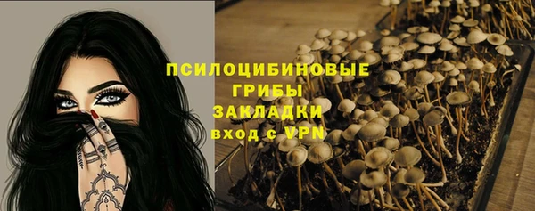 тгк Елабуга