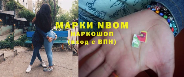 стаф Дмитриев